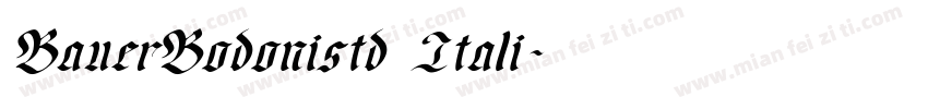 BauerBodonistd Itali字体转换